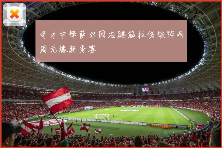 奇才中锋萨尔因右腿筋拉伤缺阵两周无缘新秀赛